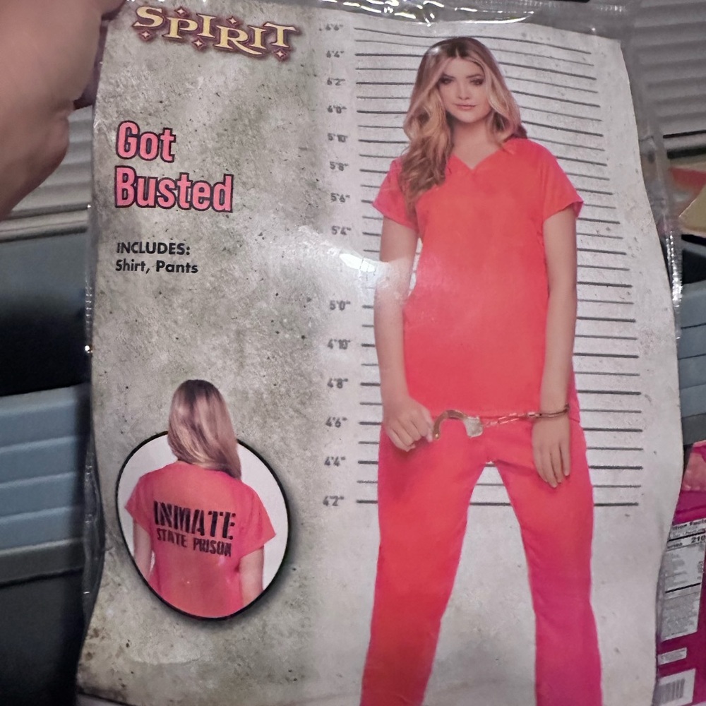 Spirit Got Busted Costume - Orange